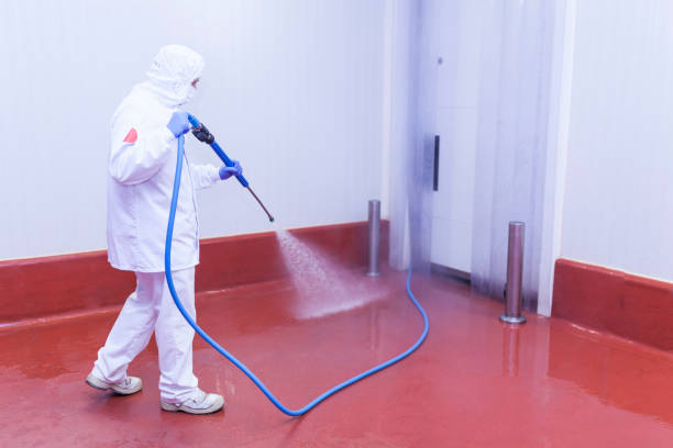 Best Rust Removal  in Gonzales, TX