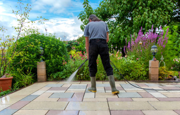 Professional  Pressure Washing Services in Gonzales, TX